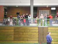 2014.01.18 - Hallensportfest Salzgitter-Bad13